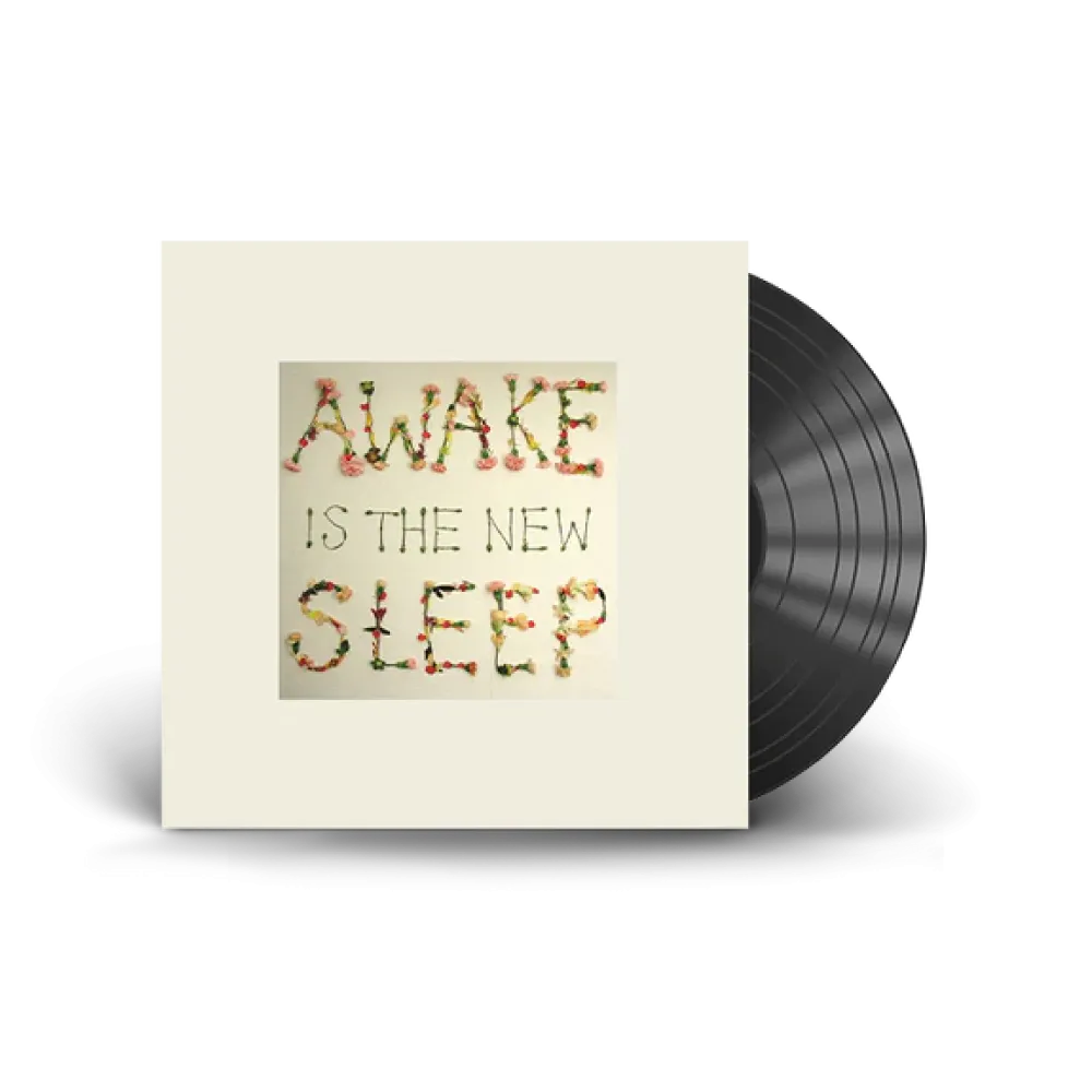 Ben Lee / Awake Is The New Sleep 2xLP Vinyl